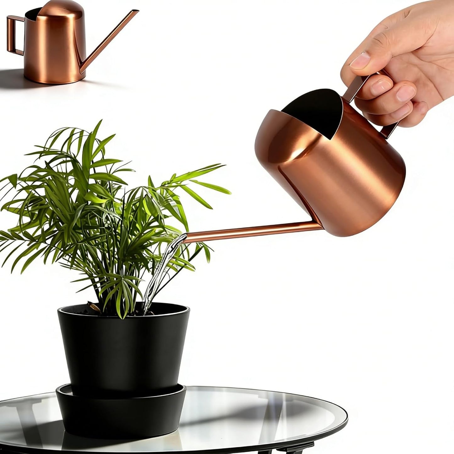 10oz/300ml Watering Can Indoor Plants, Long Spout Small Watering Sprinkling Pot Mini Stainless Steel Water Can Garden Water Pot for Indoor House Plants Bonsai