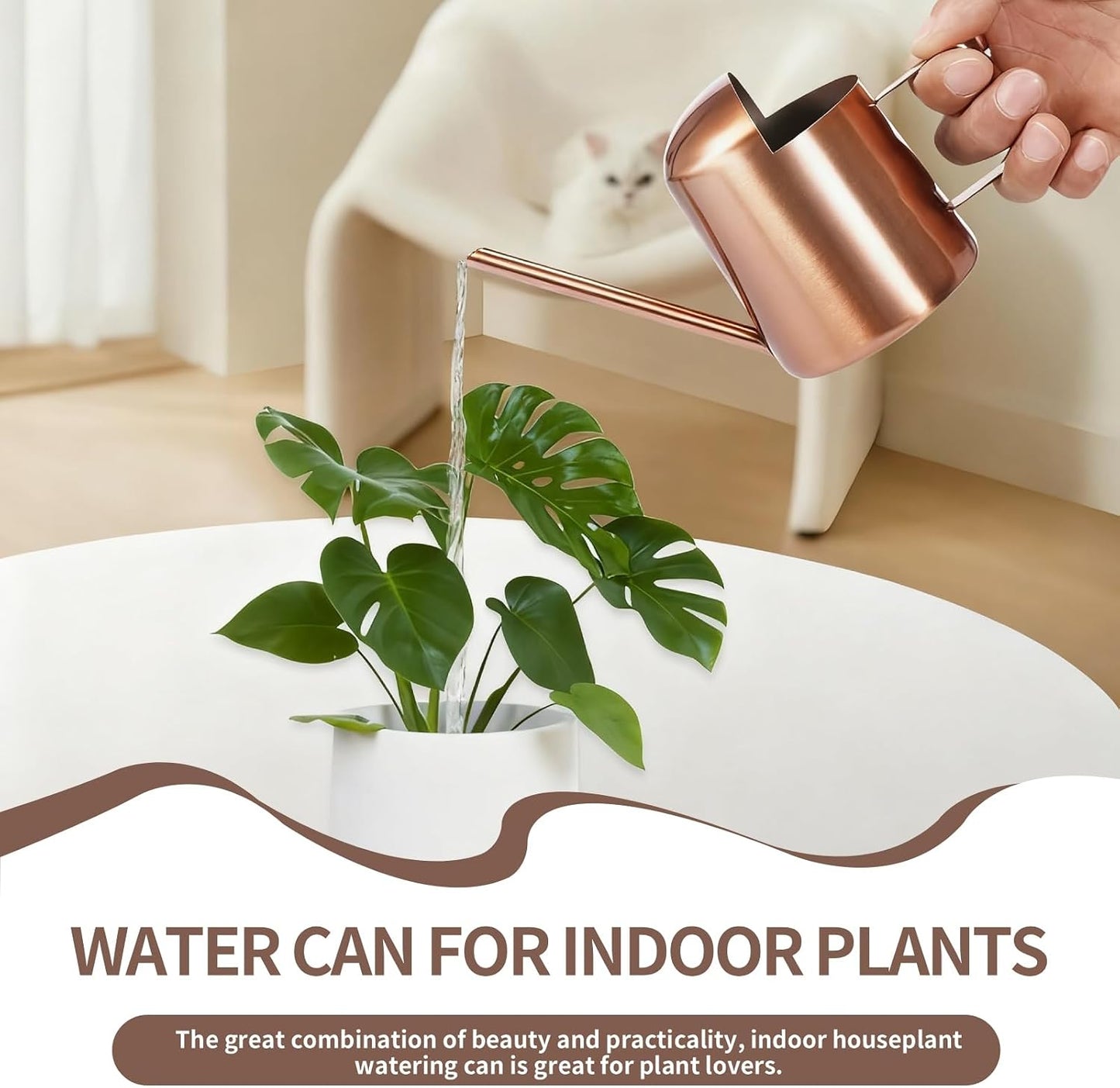 10oz/300ml Watering Can Indoor Plants, Long Spout Small Watering Sprinkling Pot Mini Stainless Steel Water Can Garden Water Pot for Indoor House Plants Bonsai