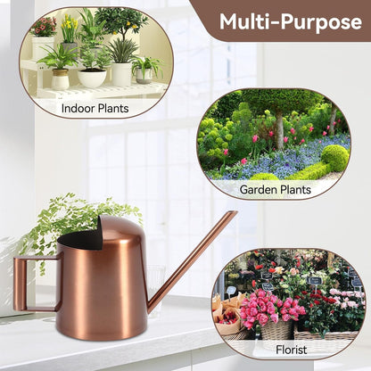 10oz/300ml Watering Can Indoor Plants, Long Spout Small Watering Sprinkling Pot Mini Stainless Steel Water Can Garden Water Pot for Indoor House Plants Bonsai