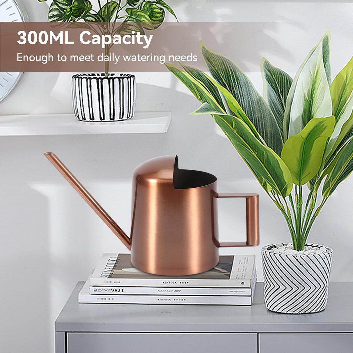 10oz/300ml Watering Can Indoor Plants, Long Spout Small Watering Sprinkling Pot Mini Stainless Steel Water Can Garden Water Pot for Indoor House Plants Bonsai