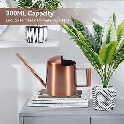 10oz/300ml Watering Can Indoor Plants, Long Spout Small Watering Sprinkling Pot Mini Stainless Steel Water Can Garden Water Pot for Indoor House Plants Bonsai