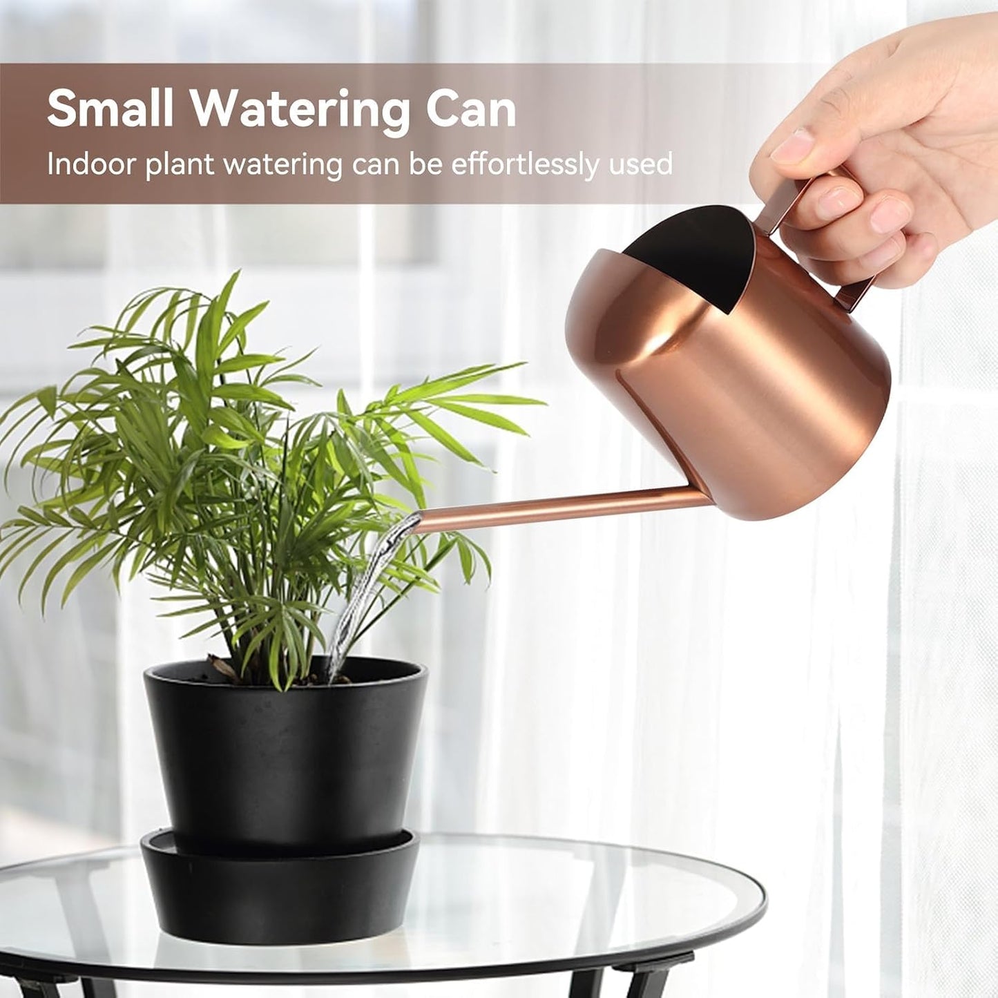 10oz/300ml Watering Can Indoor Plants, Long Spout Small Watering Sprinkling Pot Mini Stainless Steel Water Can Garden Water Pot for Indoor House Plants Bonsai
