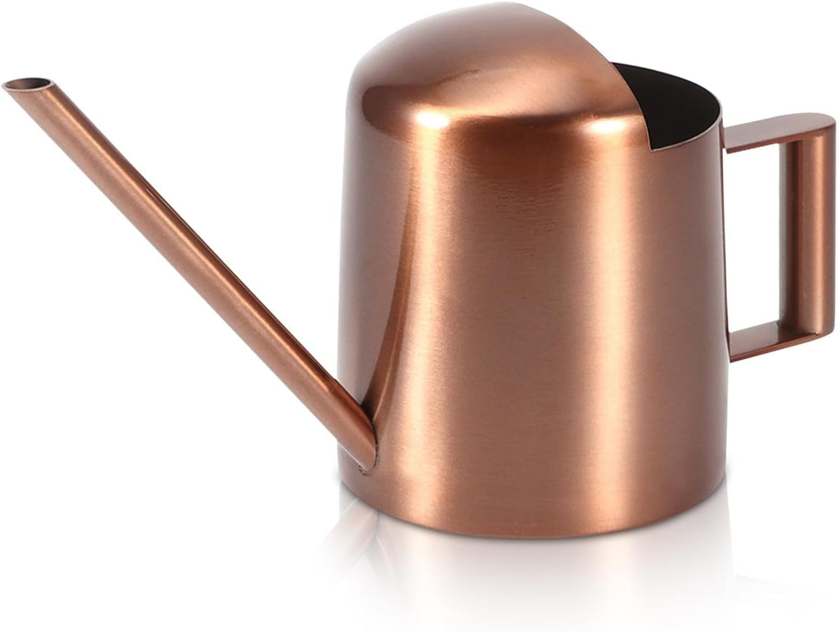 10oz/300ml Watering Can Indoor Plants, Long Spout Small Watering Sprinkling Pot Mini Stainless Steel Water Can Garden Water Pot for Indoor House Plants Bonsai