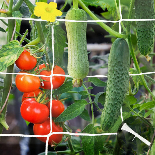 2 Pack 5x15 Ft Heavy Duty Garden Trellis Netting, with 50 Pcs Garden Ties