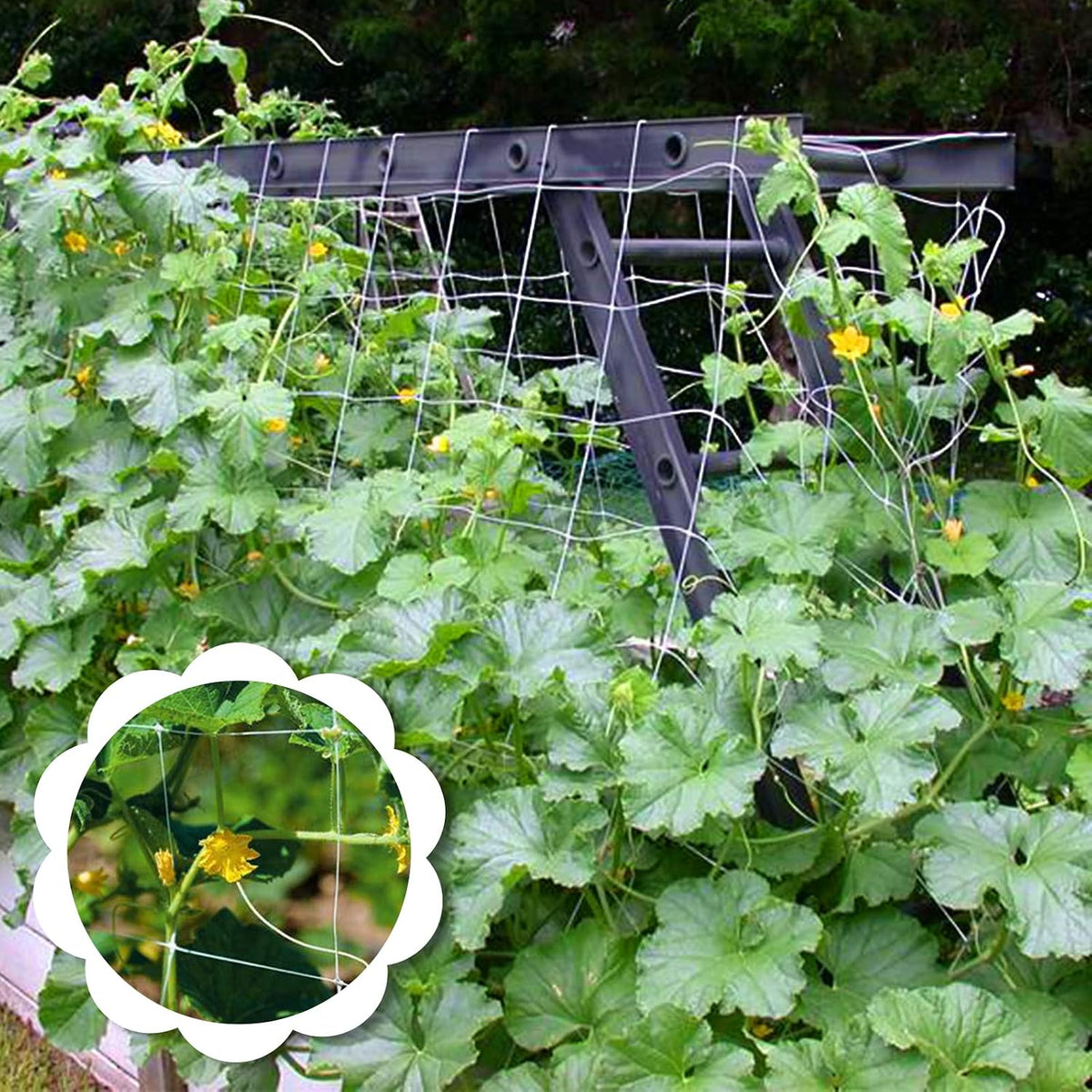 2 Pack 5x15 Ft Heavy Duty Garden Trellis Netting, with 50 Pcs Garden Ties