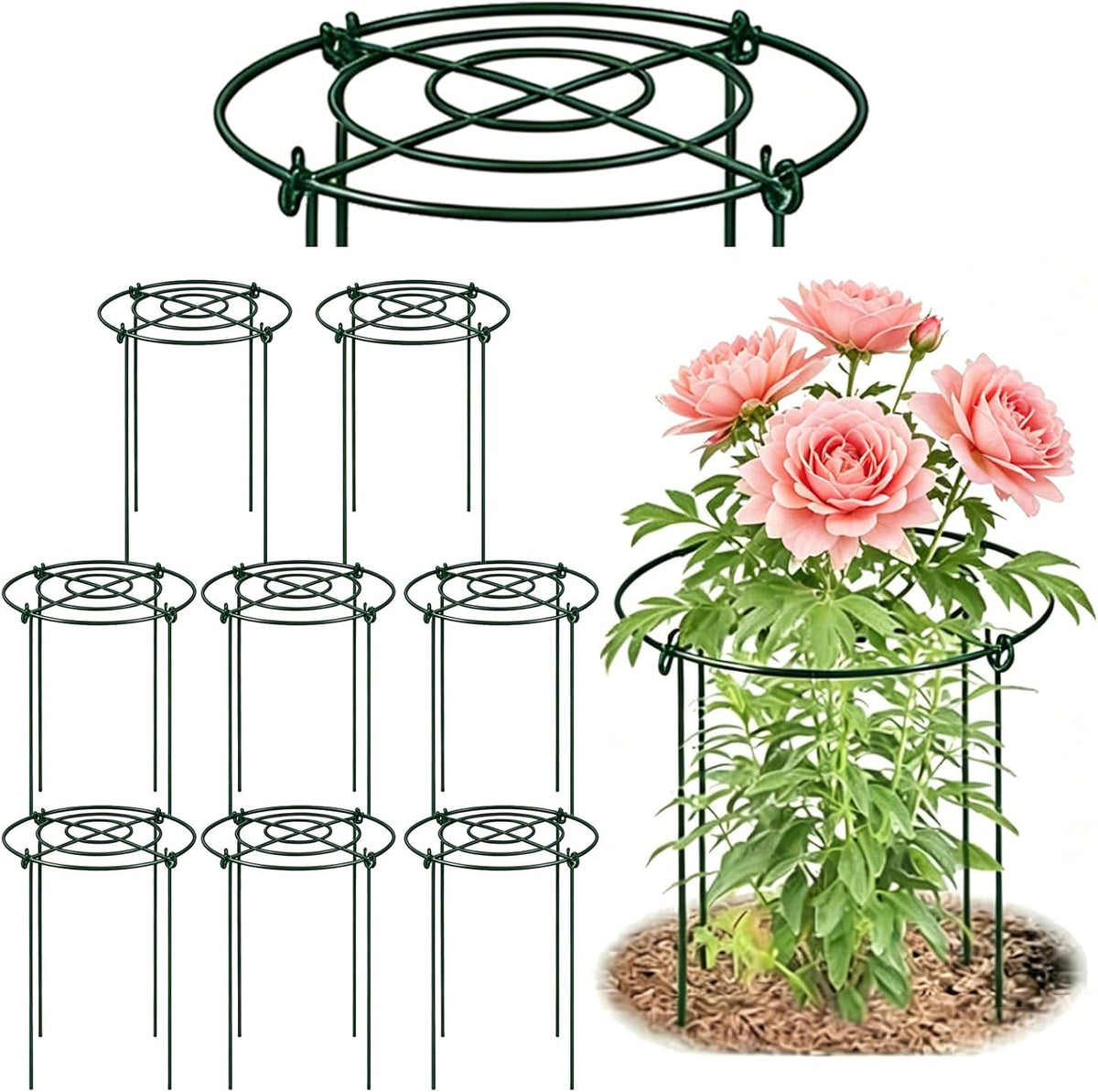 8 Pack Peony Cages and Supports, 11.5" D x 12" H