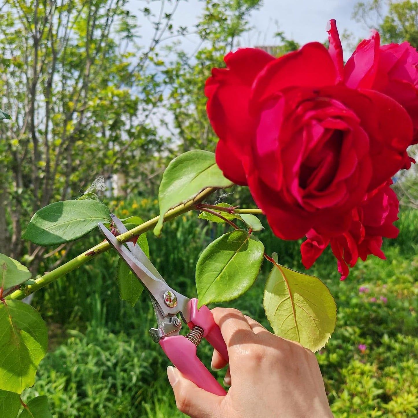 Garden Scissors 3Pcs Floral Shears with 3 Different Blades,Floral Scissors with Comfortable Grip Handle for Cutting Flowers Trimming Plants