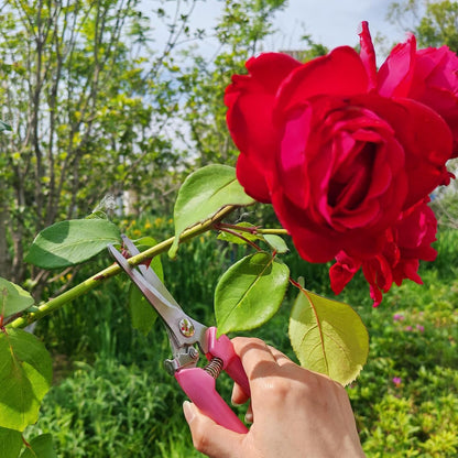 Garden Scissors 3Pcs Floral Shears with 3 Different Blades,Floral Scissors with Comfortable Grip Handle for Cutting Flowers Trimming Plants