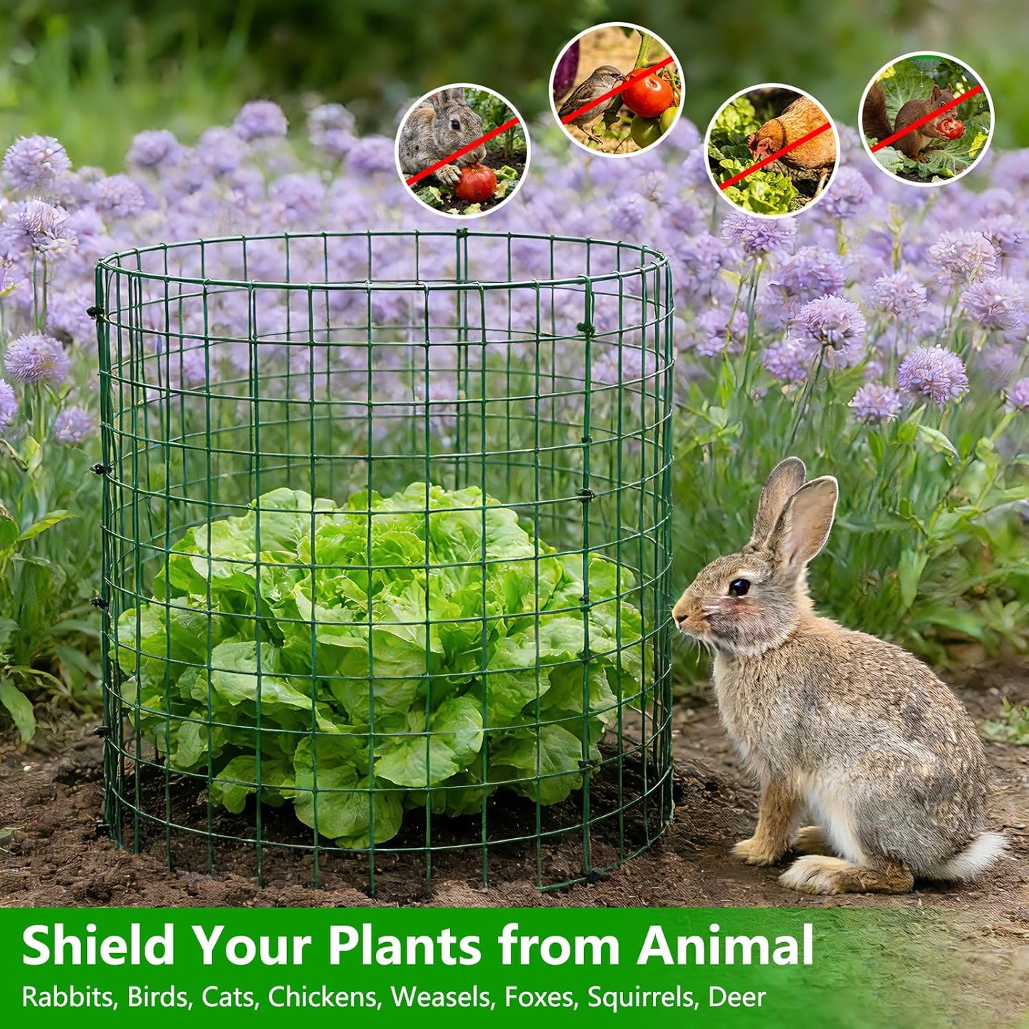 6 Pack 12x12 Inch Plant Protector Cages, Wire Plant Cover for Animals