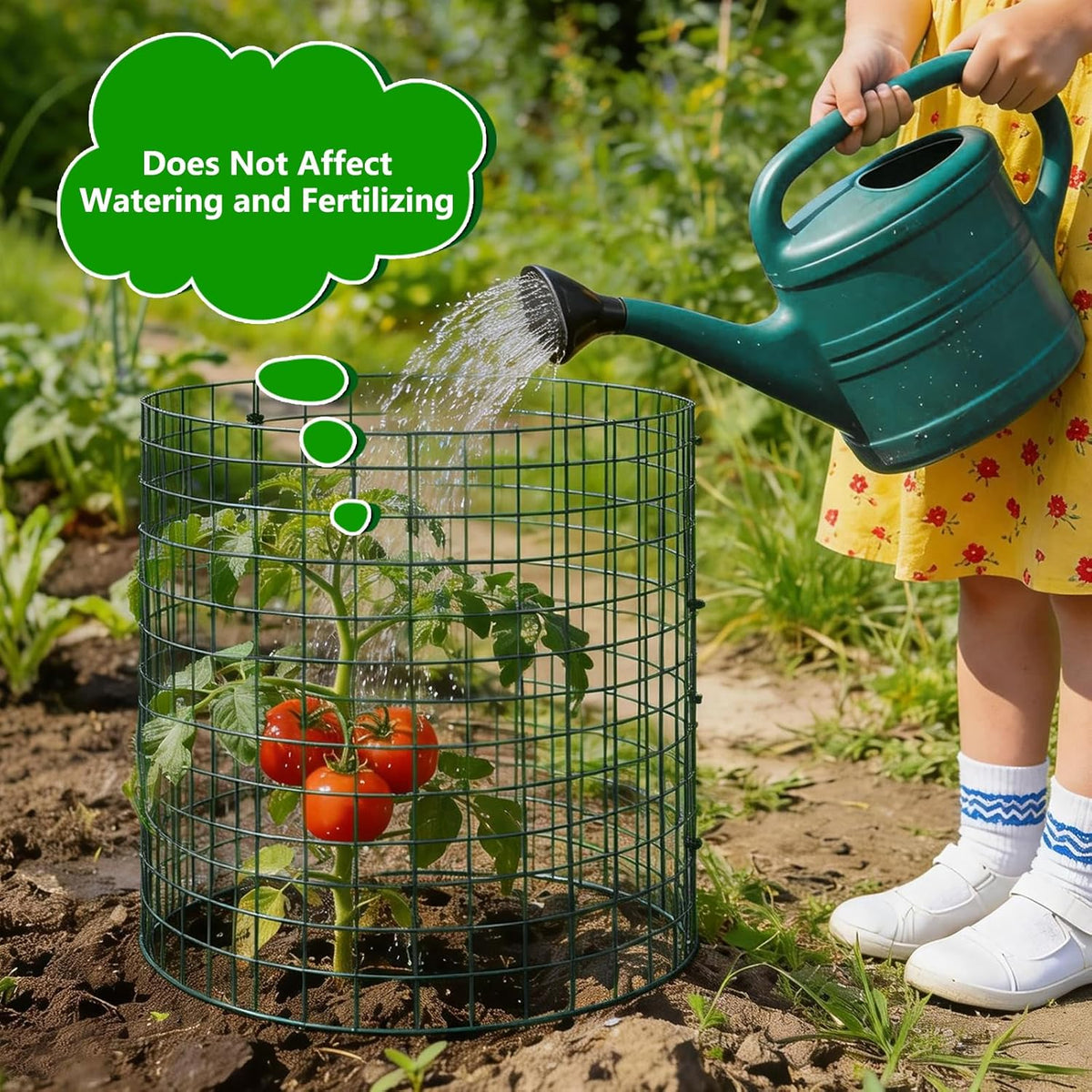 6 Pack 12x12 Inch Plant Protector Cages, Wire Plant Cover for Animals