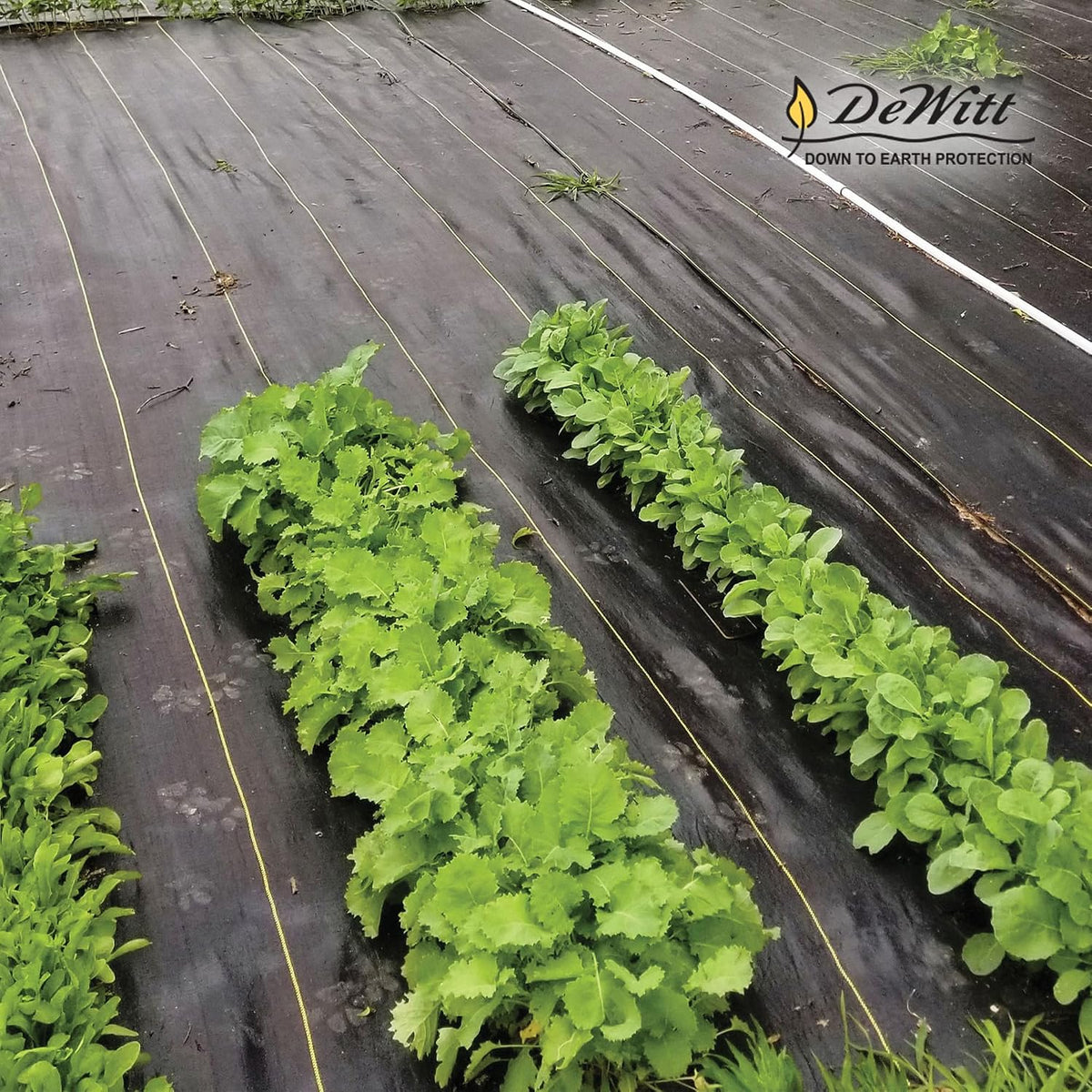 Sunbelt Weed Barrier Fabric 3.2 oz, 6 x 300 Feet – Heavy-Duty