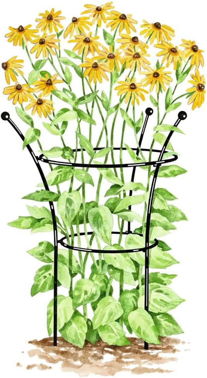 Essex Plant Support | Sturdy Metal Frame for Peonies & Roses | Flower Garden Cage with Wide Top Rings Natural Bouquet Shape | 31.5" H X18 D