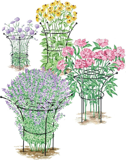 Essex Plant Support | Sturdy Metal Frame for Peonies & Roses | Flower Garden Cage with Wide Top Rings Natural Bouquet Shape | 31.5" H X18 D