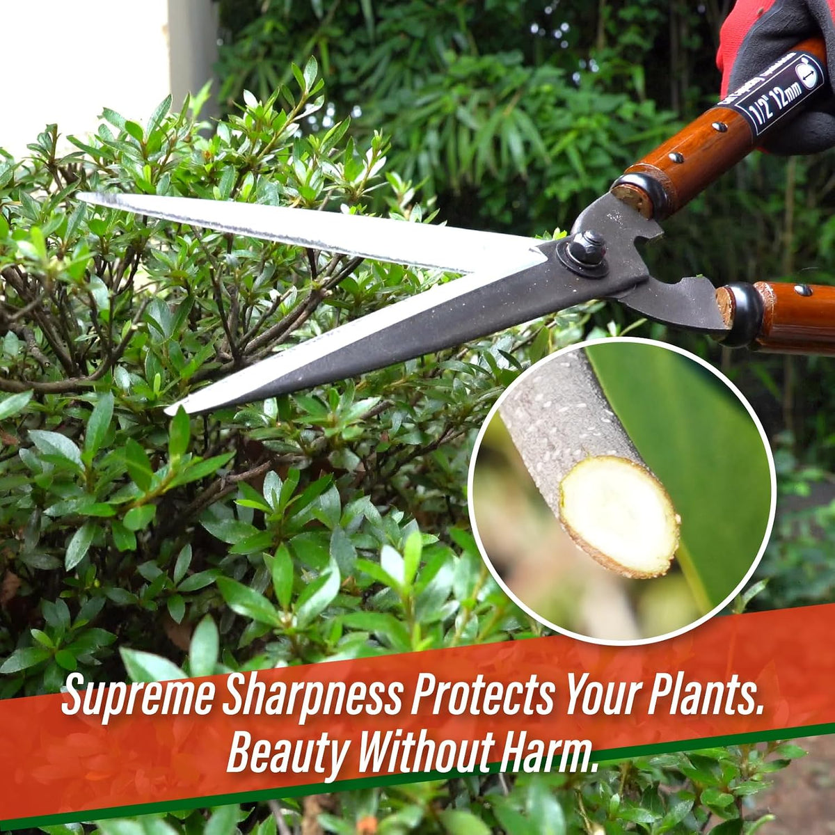 Hedge Shears 22.6" - Japanese Garden Clippers for Precise Trimming