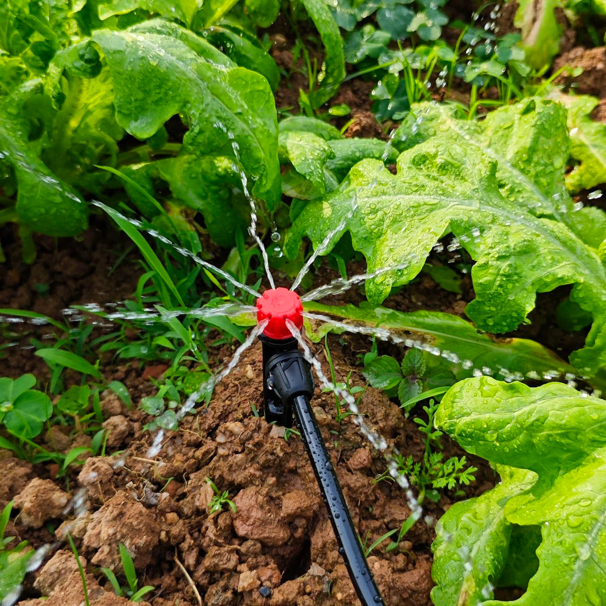 100pcs Drip Irrigation Emitters for 1/4" Drip Tubing