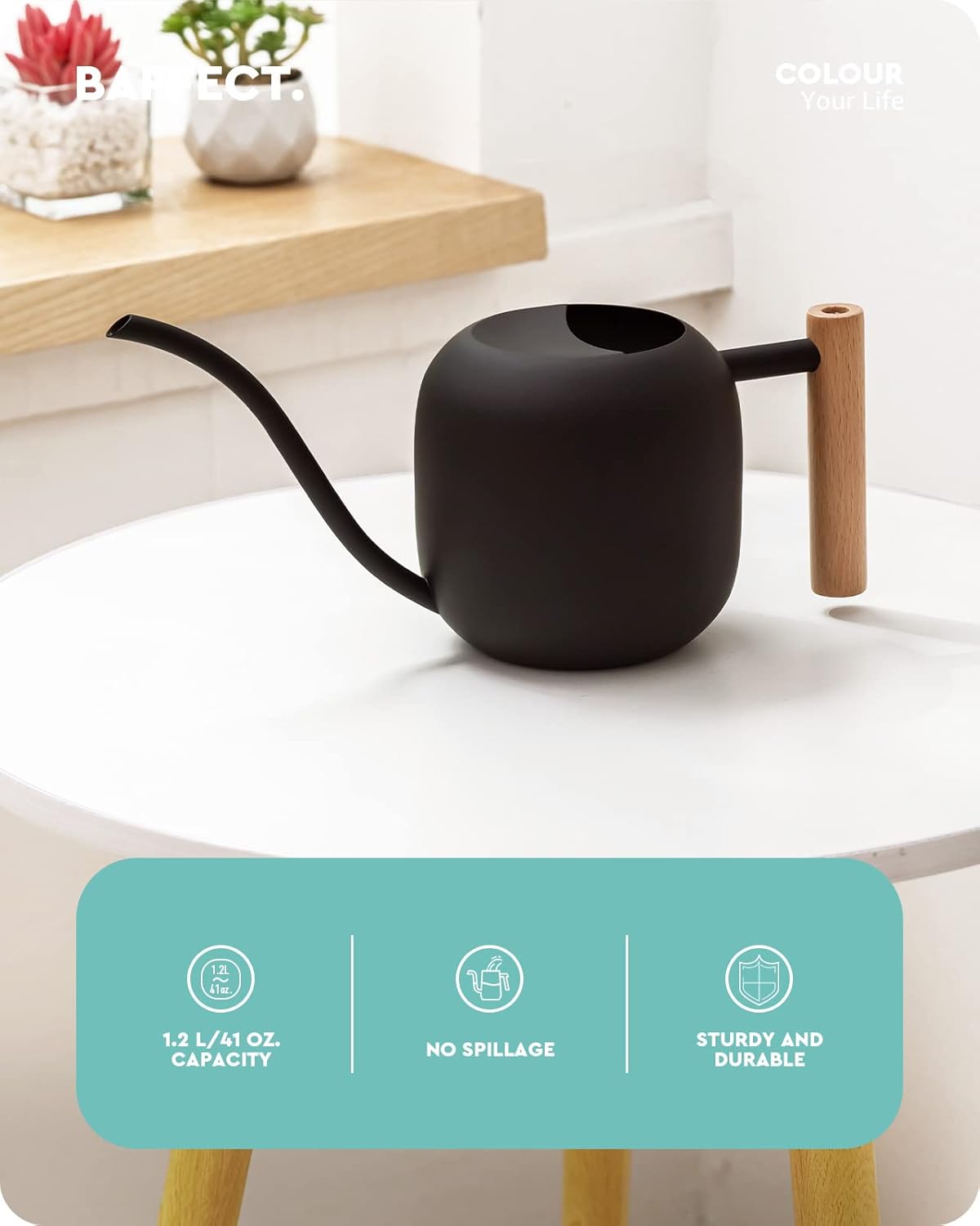 Watering Can Indoor Plants with Long Spout, 1.2L / 41oz (Black)