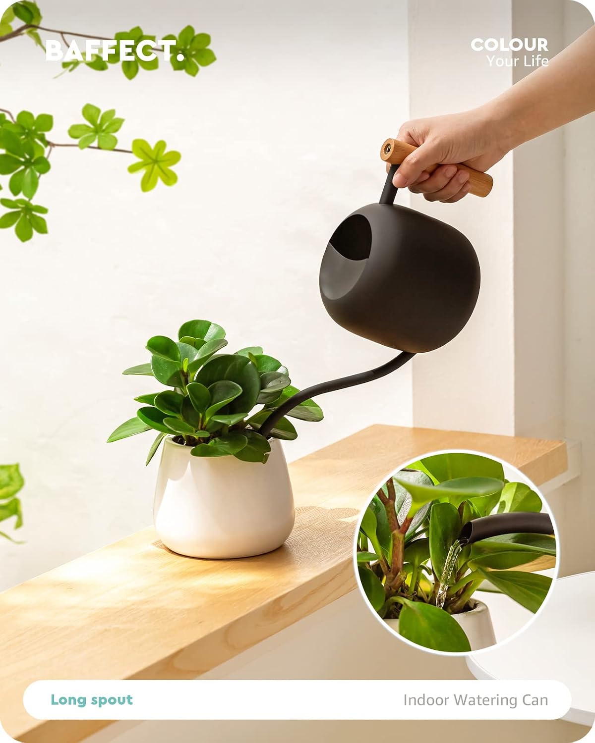 Watering Can Indoor Plants with Long Spout, 1.2L / 41oz (Black)