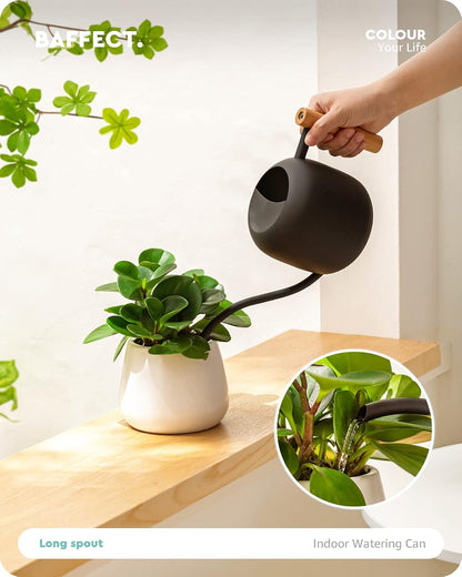 Watering Can Indoor Plants with Long Spout, 1.2L / 41oz (Black)
