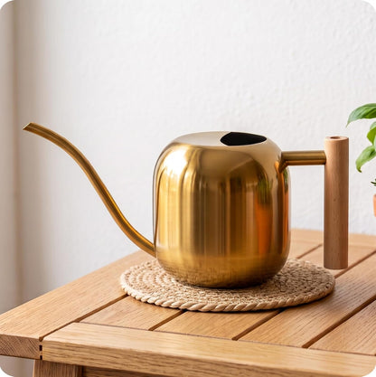 Watering Can Indoor Plants with Long Spout, 1.2L / 41oz (Black)
