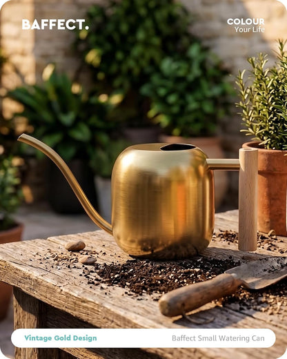 Watering Can Indoor Plants with Long Spout, 1.2L / 41oz (Black)