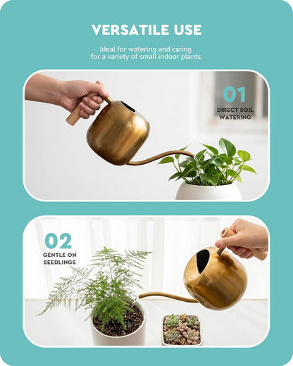 Watering Can Indoor Plants with Long Spout, 1.2L / 41oz (Black)