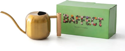 Watering Can Indoor Plants with Long Spout, 1.2L / 41oz (Black)