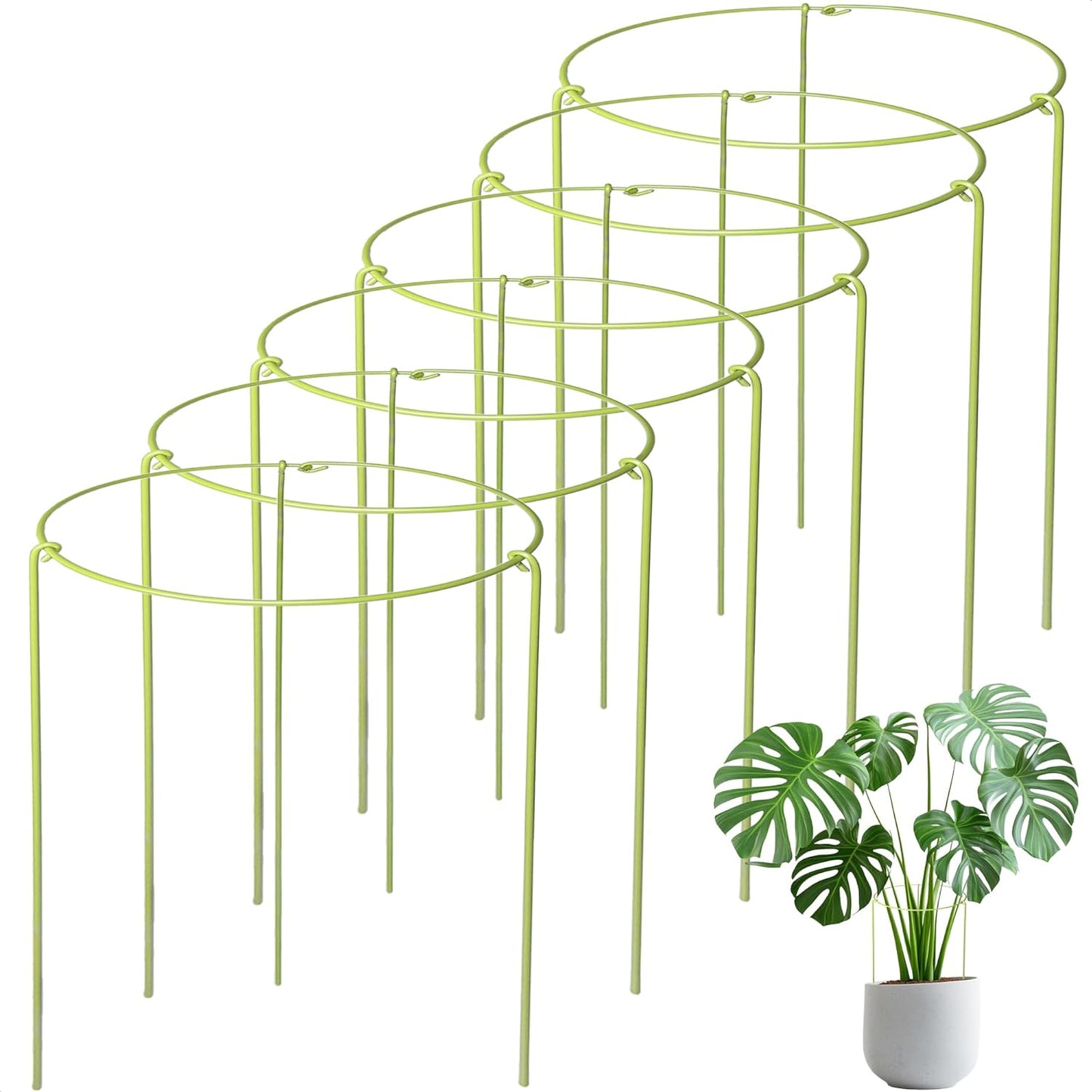 3-Pack Plant Support Stakes for Indoor Plants, Adjustable Monstera Cages & Snake Plant Support Rings, Potted Plant Supports Garden Stakes (10" W x 17" H)