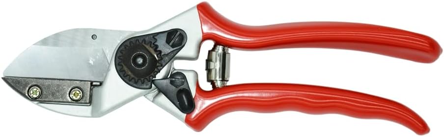QZ431 Anvil Professional Pruner, 1-Inch Cut, 8.3-Inch Long