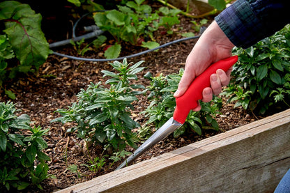 Corona CT 3050I Weeder