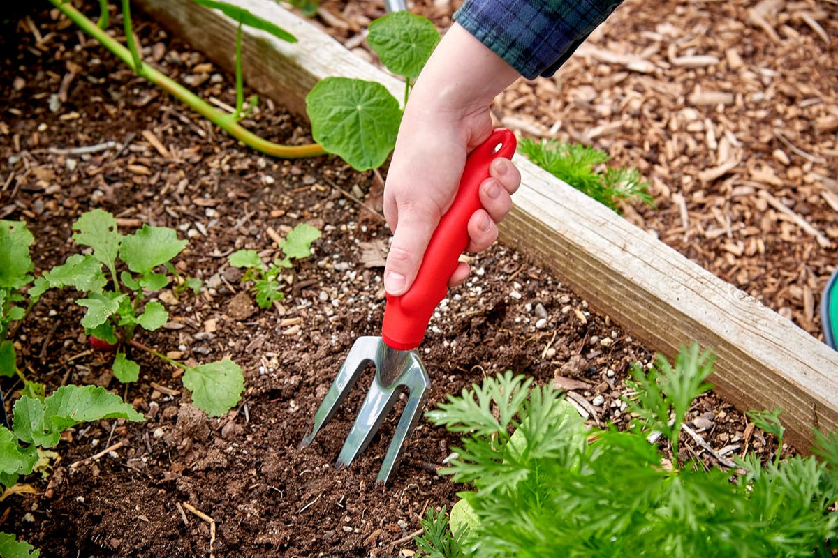 Corona CT 3050I Weeder