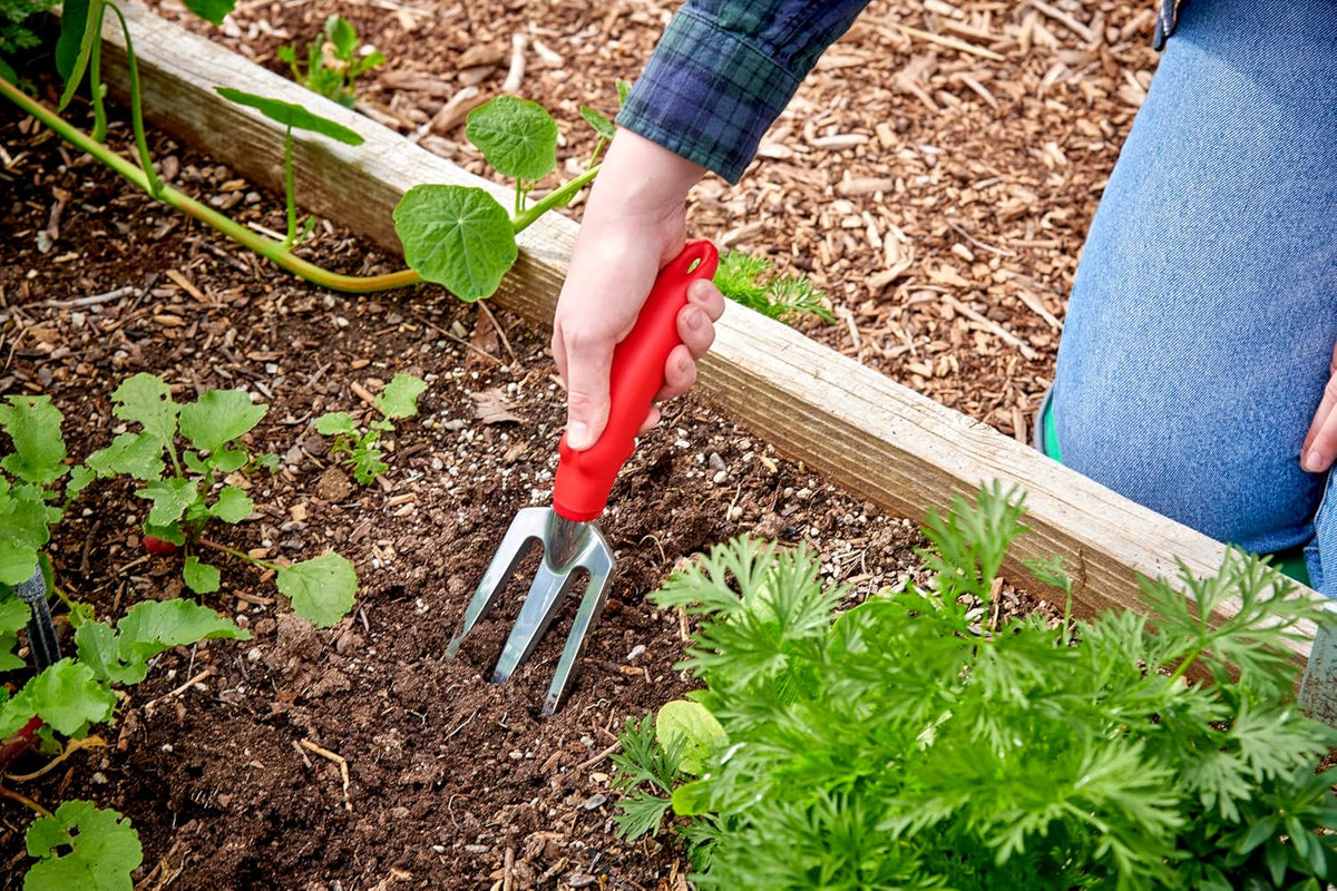 Corona CT 3050I Weeder