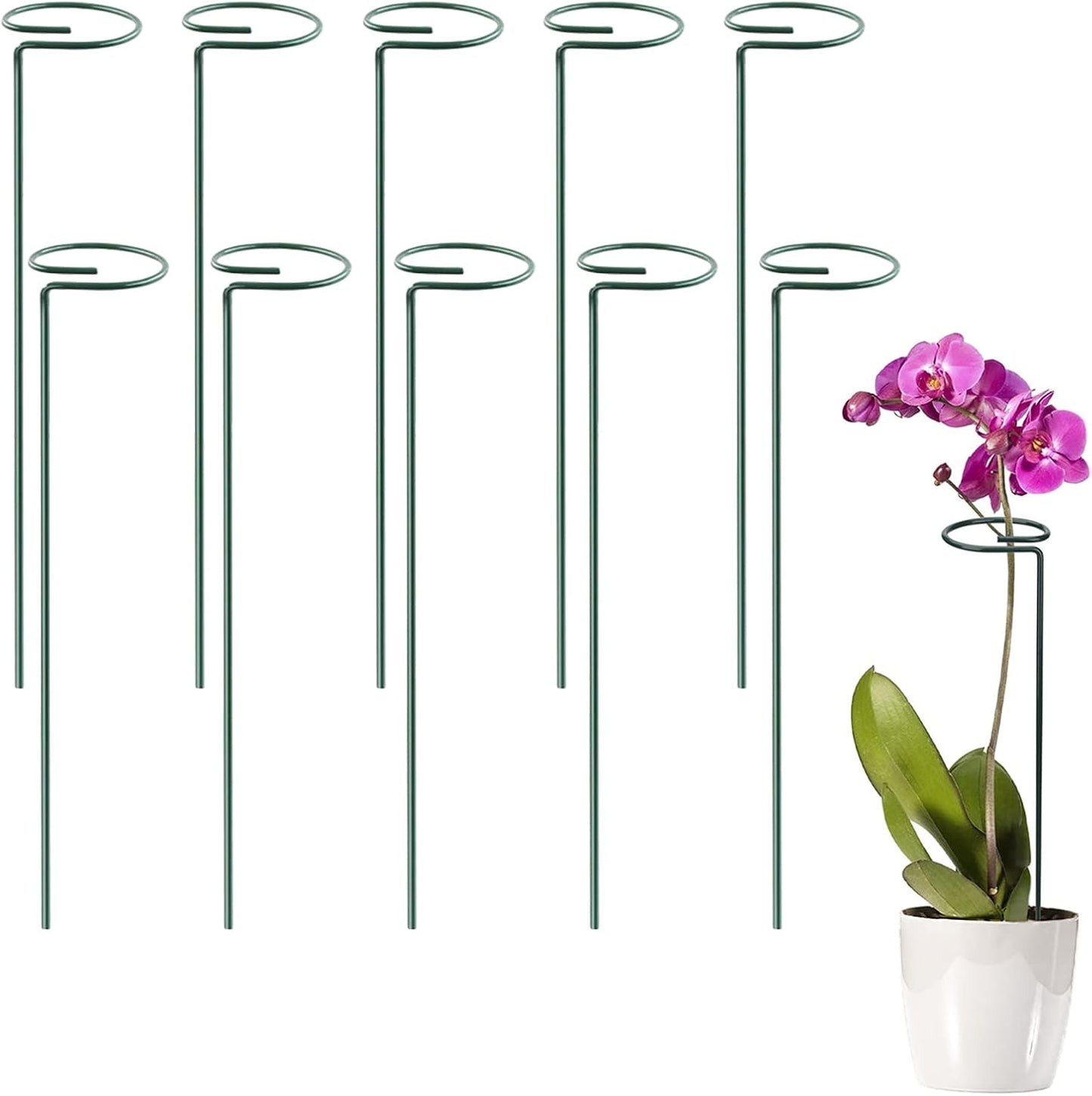 10pcs Plant Support Stakes Steel Garden Single Stem Support Stake Plant Cage Support Ring for Flower, Lily, Rose, Tomatoes, Peony (40cm /15.8inch)