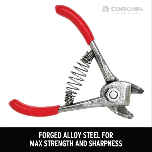 Corona Orange and Apple Bypass Shears