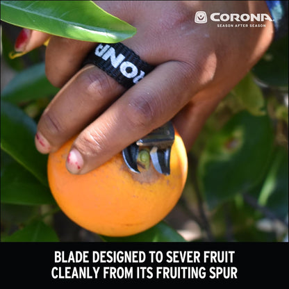 Corona Orange and Apple Bypass Shears