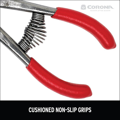 Corona Orange and Apple Bypass Shears