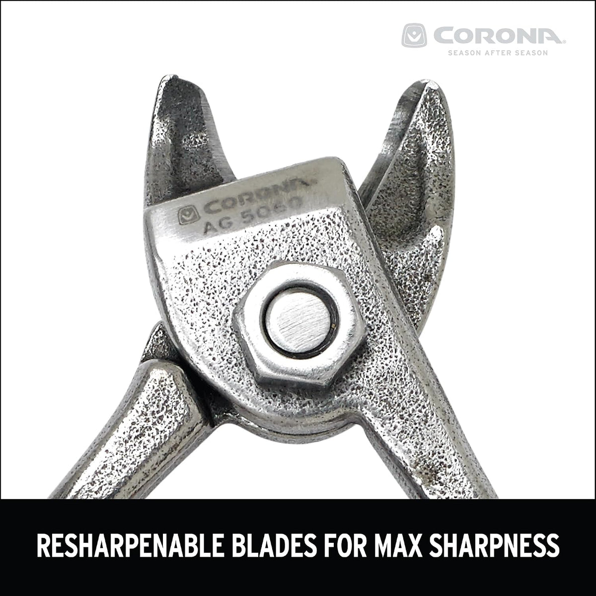 Corona Orange and Apple Bypass Shears