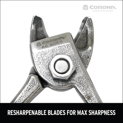 Corona Orange and Apple Bypass Shears