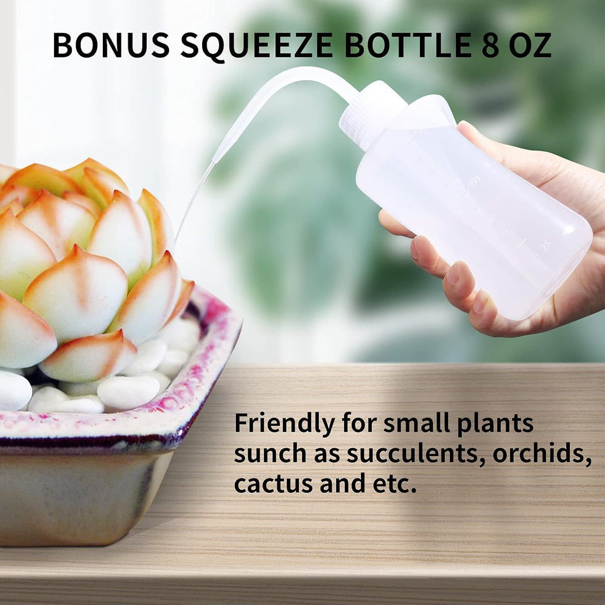 Watering Can Indoor Plants - Plant Watering Can 34 OZ, Long Spout Small Watering Can for House Plants Garden Potted Flowers with Spray Bottle, Squeeze Bottle Green