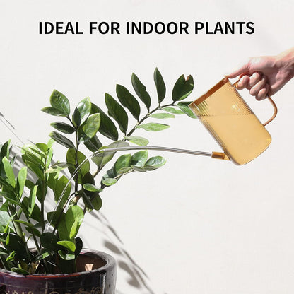 Watering Can Indoor Plants - Plant Watering Can 34 OZ, Long Spout Small Watering Can for House Plants Garden Potted Flowers with Spray Bottle, Squeeze Bottle Green