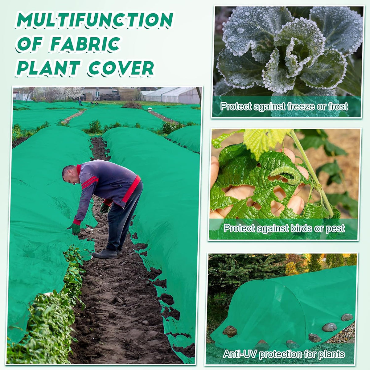 Frost Blanket Plant Covers for Freeze Winter, 10 ft x 50 ft, Green