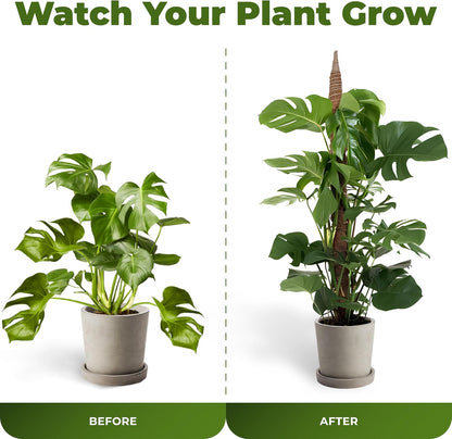 2 Pack 48'' Bendable Moss Pole Monstera Plant Support for Climbing Indoor Plants - Stakes for Potted Climbers - Tall Sticks Indoor Trellis for Houseplants - Accessories for Monstera Pot