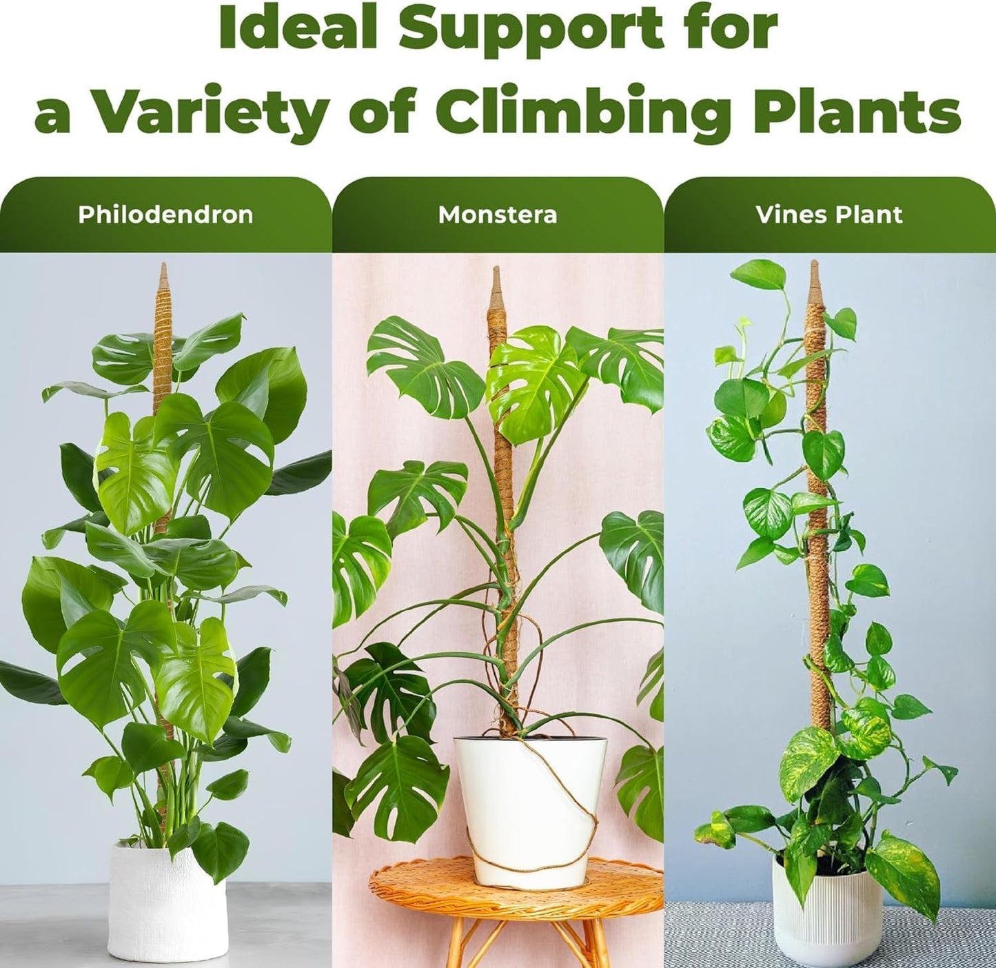 2 Pack 48'' Bendable Moss Pole Monstera Plant Support for Climbing Indoor Plants - Stakes for Potted Climbers - Tall Sticks Indoor Trellis for Houseplants - Accessories for Monstera Pot
