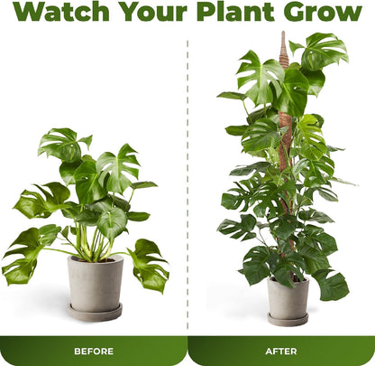 2 Pack 48'' Bendable Moss Pole Monstera Plant Support for Climbing Indoor Plants - Stakes for Potted Climbers - Tall Sticks Indoor Trellis for Houseplants - Accessories for Monstera Pot