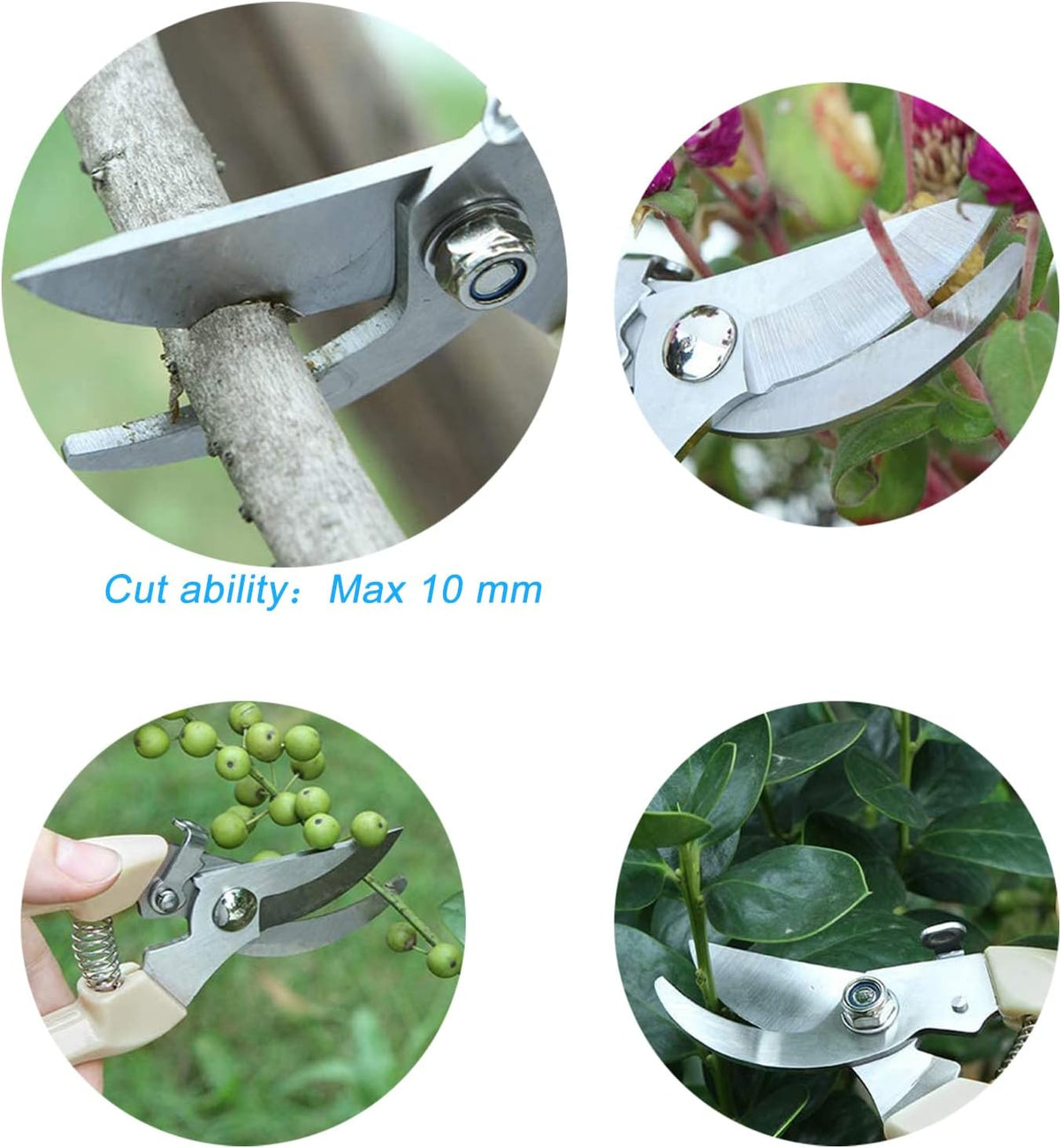 Curve Gardening Scissor with Sharp Stainless Steel Blade Garden Shears for Cutting Flowers Trimming Plants of Yard Florist Flower Rose Herb Hedge Bonsai and Fruits Picking (Pink Handle)