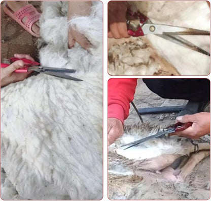 Sheep Shears Manual Stainless Steel Spring Loaded Wool Clipping Scissors