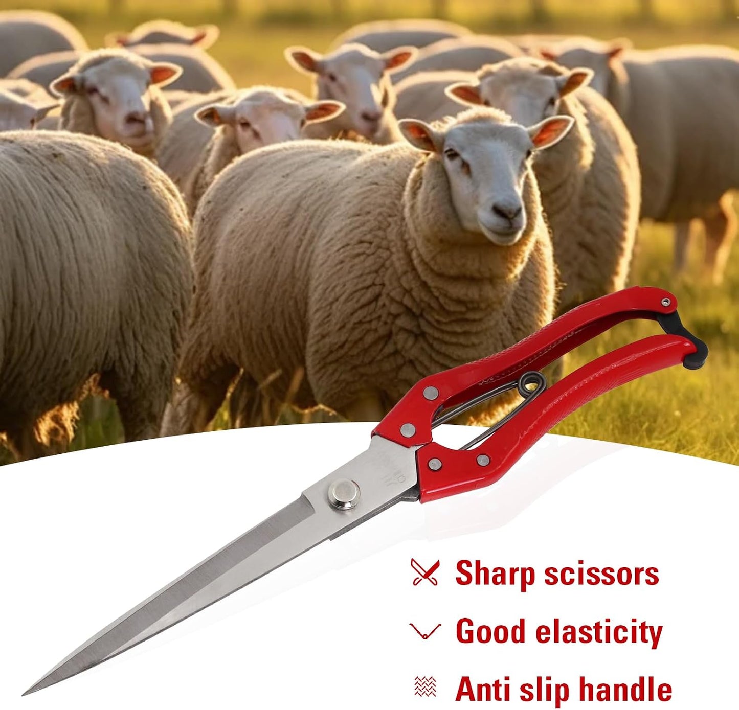 Sheep Shears Manual Stainless Steel Spring Loaded Wool Clipping Scissors