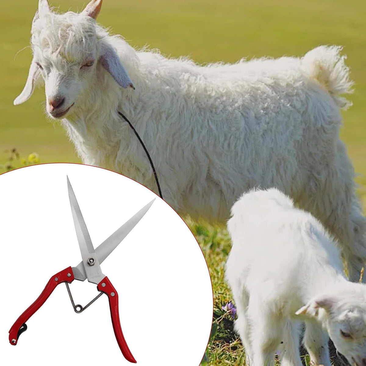Sheep Shears Manual Stainless Steel Spring Loaded Wool Clipping Scissors