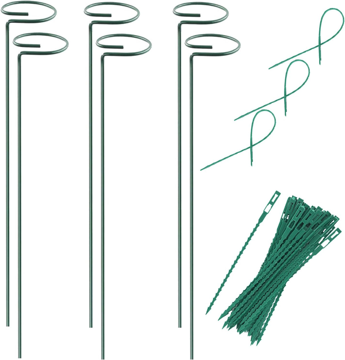 Plant Stake Support, Adjustable Height 12" or 24" for Garden Support Stake