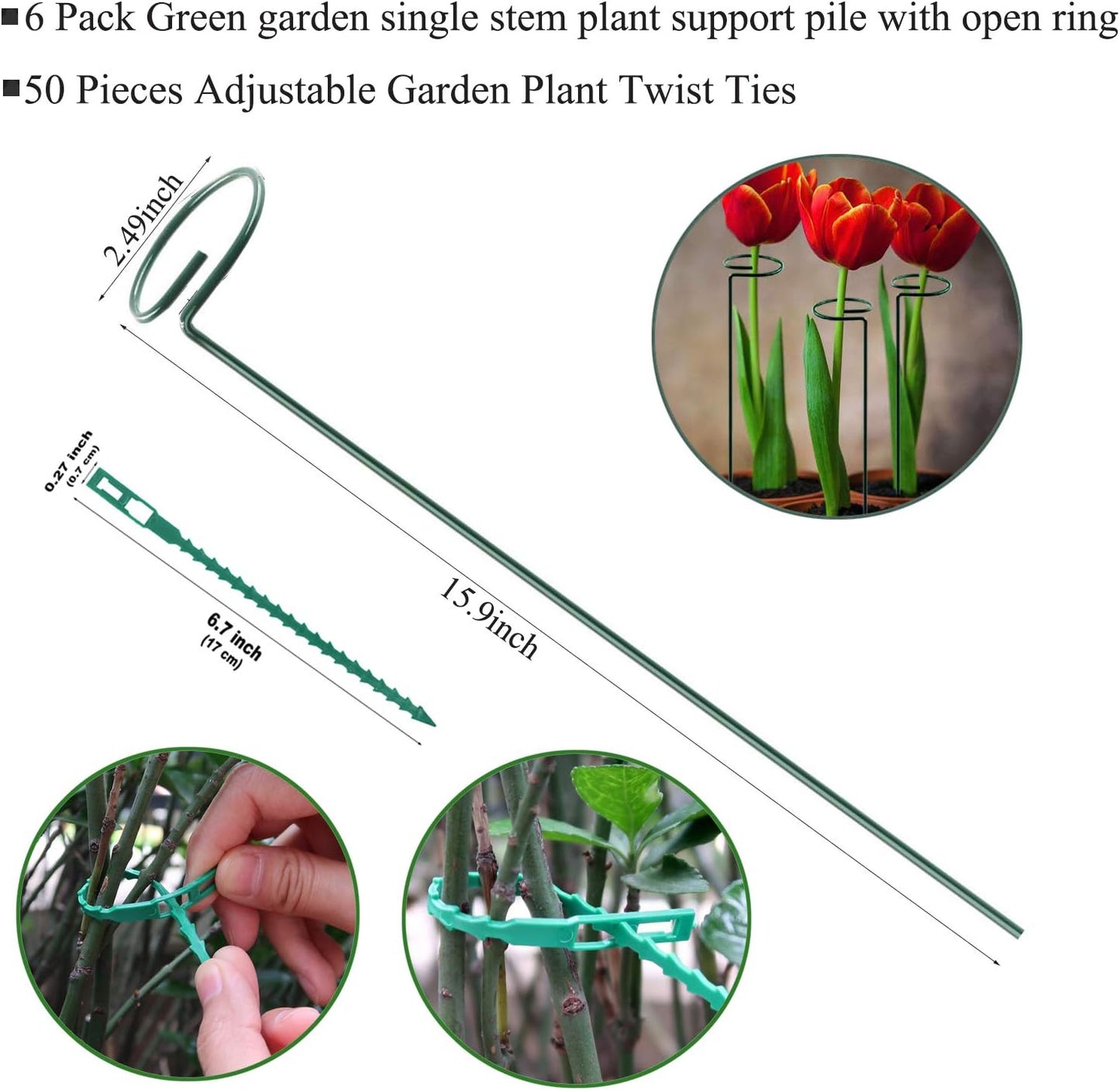 Plant Stake Support, Adjustable Height 12" or 24" for Garden Support Stake