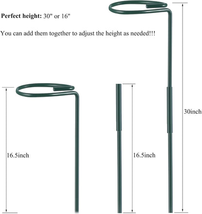 Plant Stake Support, Adjustable Height 12" or 24" for Garden Support Stake